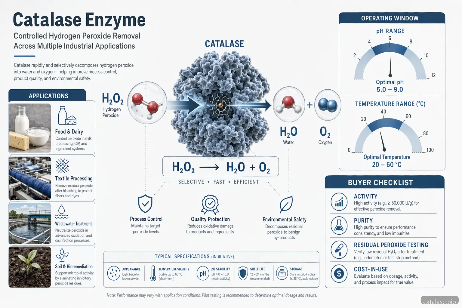 catalase enzyme: application in bioremediation and food industry infographic maps peroxide removal, operating windows, and buyer checks